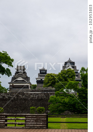 新緑と熊本城の風景 102953803