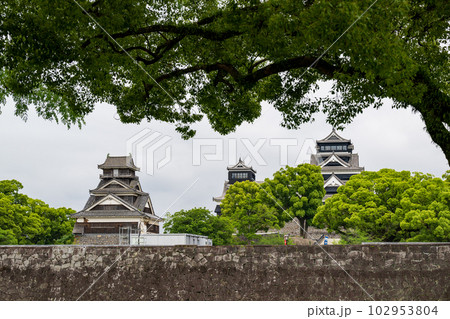 新緑と熊本城の風景 新緑と熊本城の風景 102953804