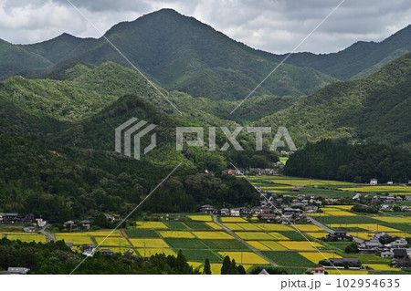 丹波篠山の風景 丹波篠山の風景 102954635