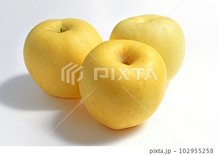 りんご（金星） 102955258
