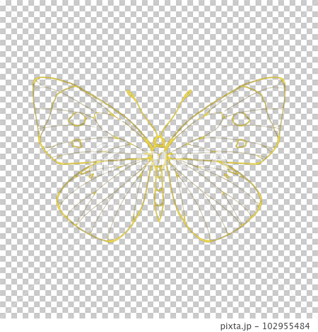 Cabbage butterfly with spread wings / gold leaf style Cabbage butterfly with spread wings / gold leaf style 102955484
