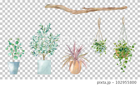 盆栽植物和懸掛植物的水彩插圖。 102955800