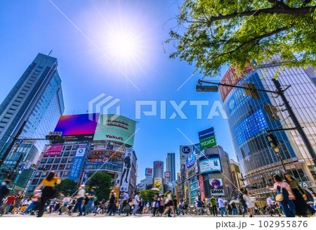 日本の東京都市景観 連続真夏日…熱中症に注意。渋谷スクランブル交差点はマ無しの方のほうが多い=18日 日本の東京都市景観 連続真夏日…熱中症に注意。渋谷スクランブル交差点はマ無しの方のほうが多い=18日 102955876