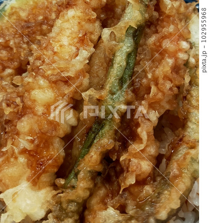 天丼 102955968