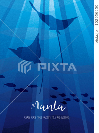 輝く青い海とマンタのシルエット 102956350