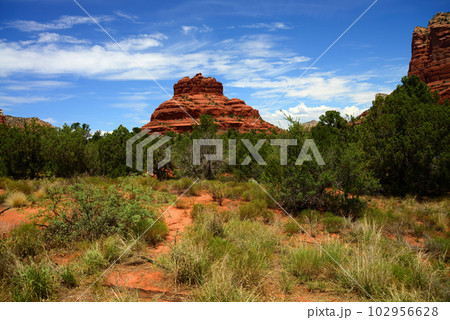 Sedona Arizona surrounding Red Rock Country 102956628