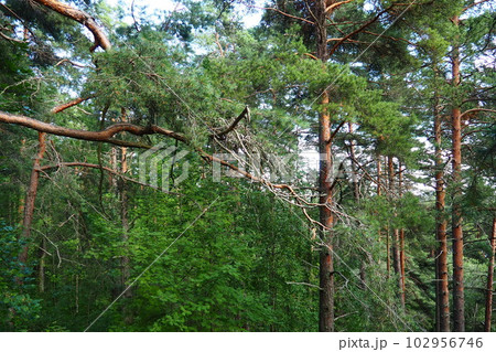 The devil's chair is a rocky tract, a geological monument of nature, located on the slope of Vaara Mountain, a former volcano. It is located in Petrozavodsk, Solomennoe, on the coast of Lake Onega. 102956746
