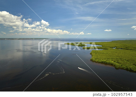 Aerial view of Florida wetlands with small motorboat swimming between green vegetation in water inlets. Recreation in nature concept Aerial view of Florida wetlands with small motorboat swimming between green vegetation in water inlets. Recreation in nature concept 102957543