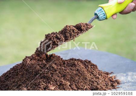 Gardener woman holding peat moss organic matter improve soil for agriculture organic plant growing, ecology concept. Gardener woman holding peat moss organic matter improve soil for agriculture organic plant growing, ecology concept. 102959108