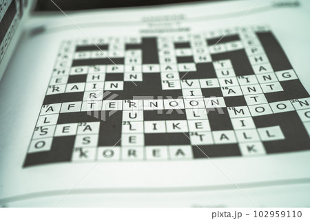 Crossword, Sudoku puzzle game to keep you brain younger for developing Alzheimer disease in senior patient. 102959110