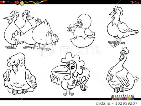 cartoon chickens farm animal characters set coloring page cartoon chickens farm animal characters set coloring page 102959207