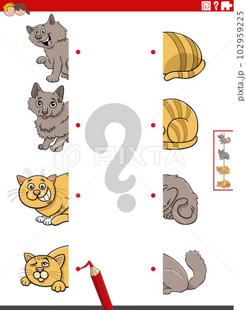 match halves of pictures with cats educational task match halves of pictures with cats educational task 102959225