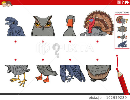 match halves of pictures with birds educational game match halves of pictures with birds educational game 102959229