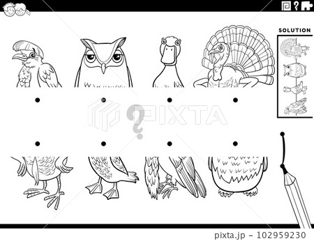 match halves of cartoon birds game coloring page match halves of cartoon birds game coloring page 102959230