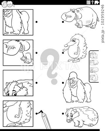 match cartoon wild animals and clippings game coloring page 102959246