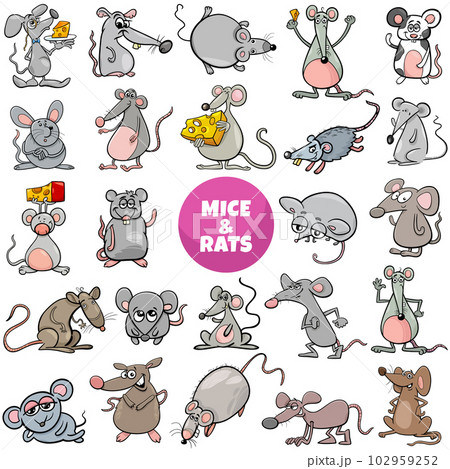 funny cartoon mice and rats animal characters big set funny cartoon mice and rats animal characters big set 102959252