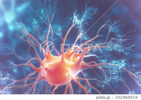 Human Nervous System 102960019