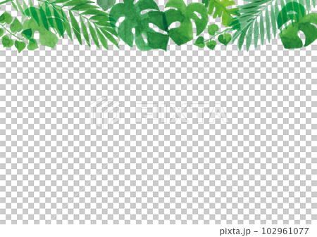 透明水彩　熱帯植物の葉のイラストフレーム　A4横 102961077