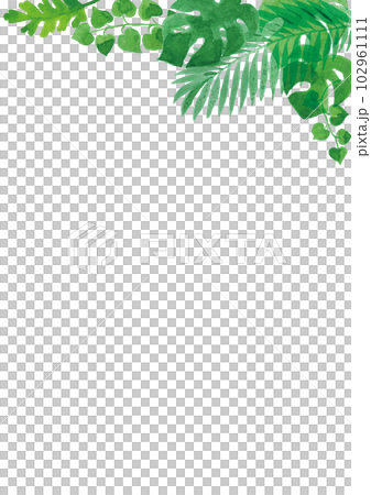 Transparent watercolor Illustration frame of tropical plant leaves A4 vertical Transparent watercolor Illustration frame of tropical plant leaves A4 vertical 102961111