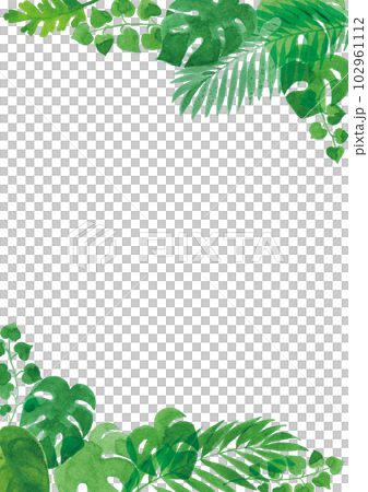 Transparent watercolor Illustration frame of tropical plant leaves A4 vertical Transparent watercolor Illustration frame of tropical plant leaves A4 vertical 102961112