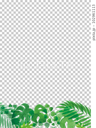 Transparent watercolor Illustration frame of tropical plant leaves A4 vertical Transparent watercolor Illustration frame of tropical plant leaves A4 vertical 102961113