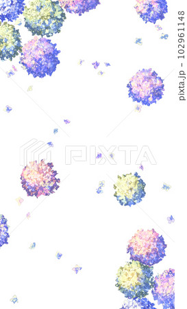 手描き紫陽花【png透過画像】 手描き紫陽花【png透過画像】 102961148