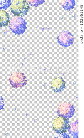 手描き紫陽花【png透過画像】 手描き紫陽花【png透過画像】 102961148