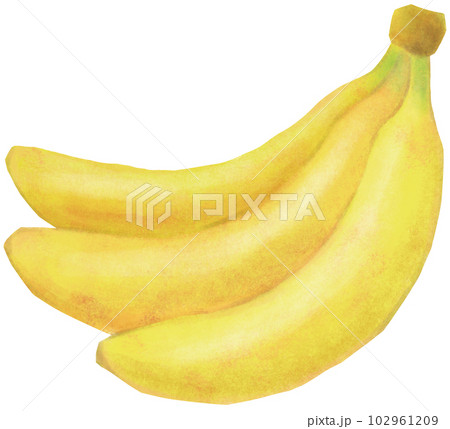 バナナ バナナ 102961209