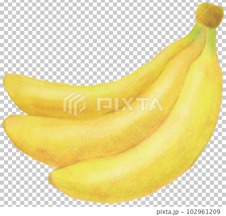 バナナ バナナ 102961209