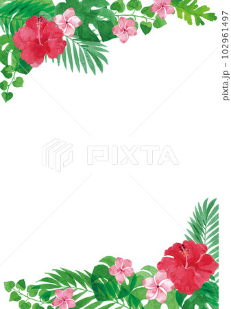 透明水彩　ハイビスカスなど熱帯植物のイラストフレーム　A4縦 102961497