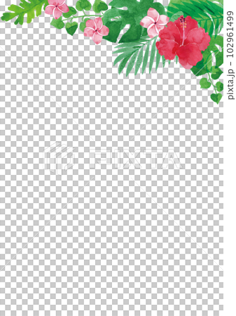 透明水彩　ハイビスカスなど熱帯植物のイラストフレーム　A4縦 102961499