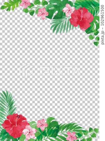 芙蓉等熱帶植物透明水彩插圖框 A4 垂直 102961500