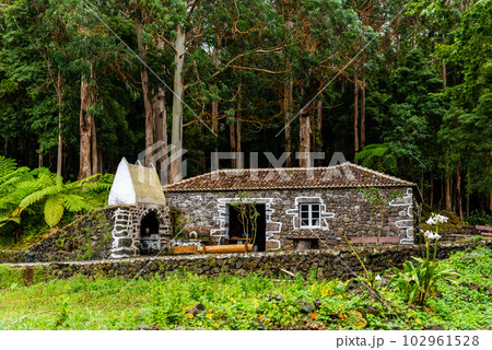 Traditional stone cottage in Recreation area in the Mata da Serreta Forest Reserve in Terceira Island Traditional stone cottage in Recreation area in the Mata da Serreta Forest Reserve in Terceira Island 102961528
