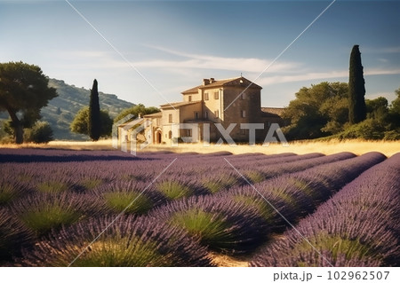 Beautiful view of old house in Provence on a sunny day with a lavender field in the foreground.Generative AI Beautiful view of old house in Provence on a sunny day with a lavender field in the foreground.Generative AI 102962507