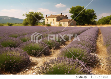 Beautiful view of old house in Provence on a bright sunny day with a lavender field in the foreground.Generative AI 102962508