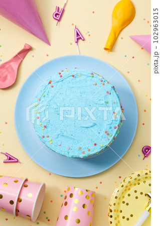 Concept of Happy Birthday, holiday Birthday cake Concept of Happy Birthday, holiday Birthday cake 102963015