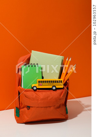 Concept of school education with school accessories, space for text 102963557