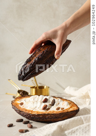 Concept of fresh and aromatic food - cacao beans Concept of fresh and aromatic food - cacao beans 102964249