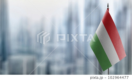 Small flags of the Hungary on an abstract blurry background Small flags of the Hungary on an abstract blurry background 102964477