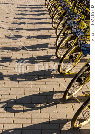 Bicycle rental service on city road parking with morning sunlight, public transportation concept. Bicycle rental service on city road parking with morning sunlight, public transportation concept. 102965832