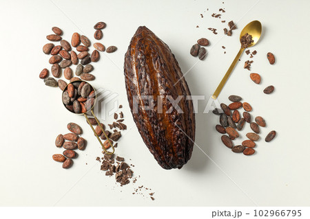 Concept of fresh and aromatic food - cacao beans 102966795