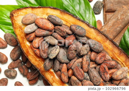 Concept of fresh and aromatic food - cacao beans Concept of fresh and aromatic food - cacao beans 102966796