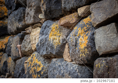 Close up yellow lichen cover the rough stone wall concept photo. 102967181