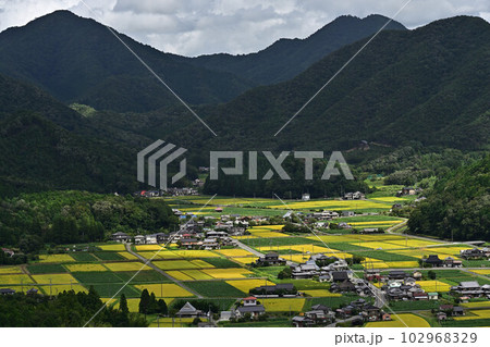 丹波篠山の風景 丹波篠山の風景 102968329
