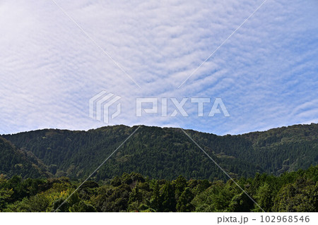 由良ヶ岳より 由良ヶ岳より 102968546