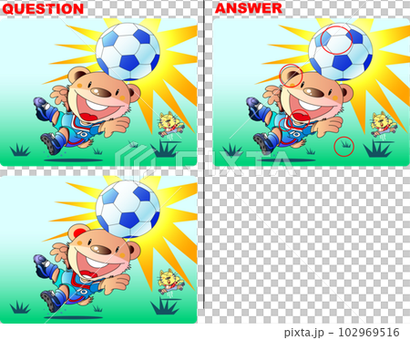 Bear Soccer Player Spot the Difference Quiz 102969516
