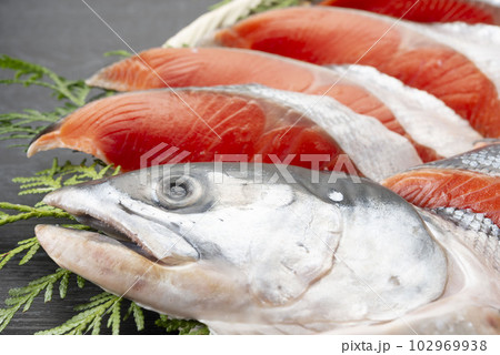 新鮮で美味しい鮭の切り身 新鮮で美味しい鮭の切り身 102969938
