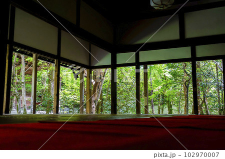 初夏の蓮華寺 青もみじと庭 京都府京都市 初夏の蓮華寺 青もみじと庭 京都府京都市 102970007