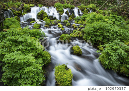 生命の水 102970357