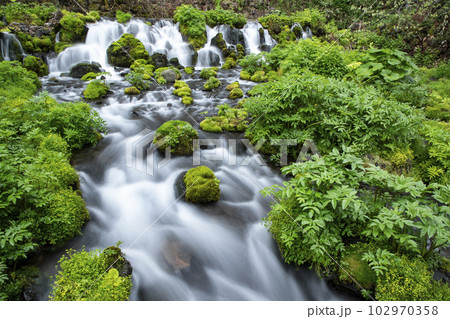 生命の水 102970358